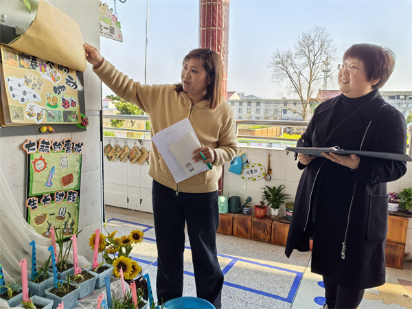 角落智慧   自然之趣