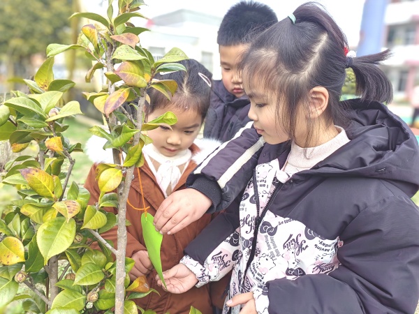 绿动春天，播种希望-——大公镇古贲幼儿园植树节活动