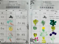 初夏迎小满，万物皆欣欢