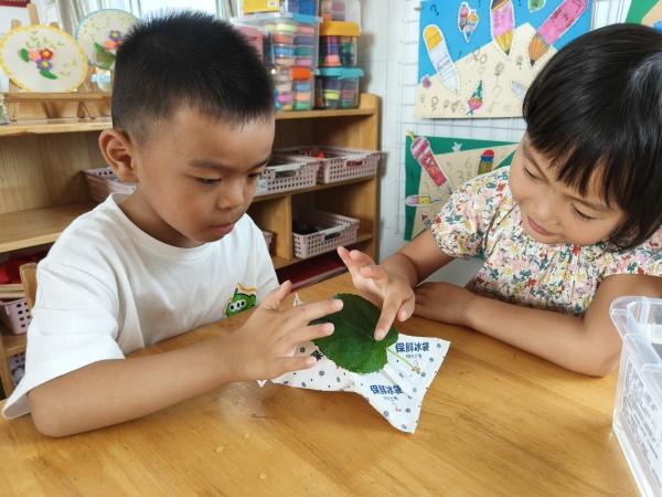 975e0d614fbf4d6b93e4d3098fdbcf57.jpg 975e0d614fbf4d6b93e4d3098fdbcf57.jpg